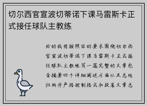 切尔西官宣波切蒂诺下课马雷斯卡正式接任球队主教练